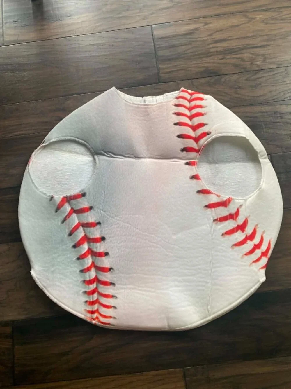 Baseball Costume
